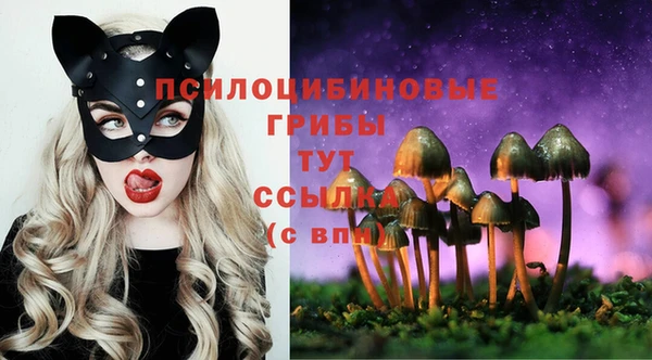 МДПВ Алзамай