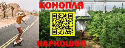 крисы Балашиха