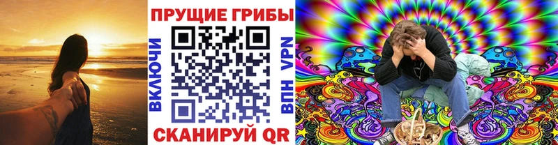 хочу   Гурьевск  Псилоцибиновые грибы ЛСД 