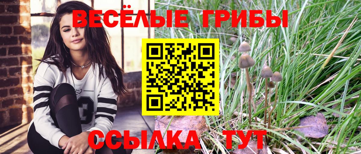 Псилоцибиновые грибы MAGIC MUSHROOMS Гурьевск