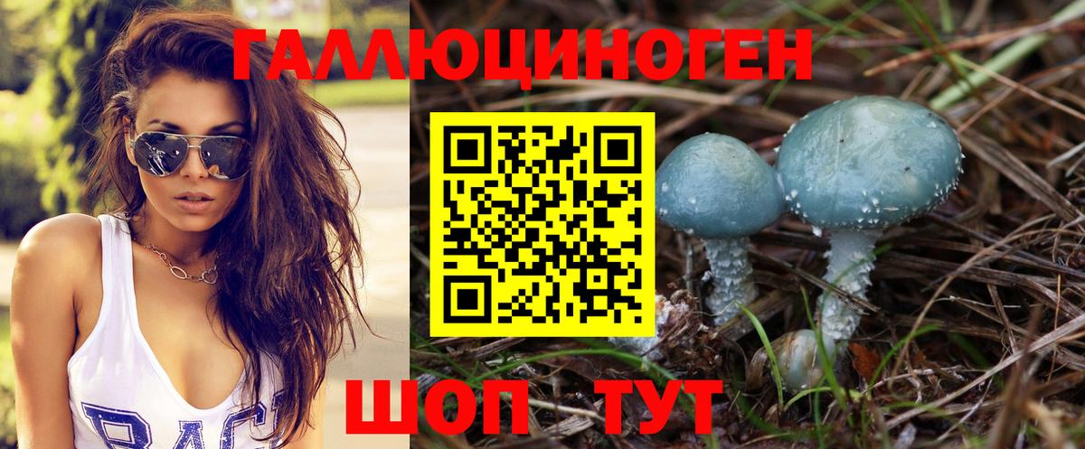 Гурьевск  Галлюциногенные грибы Psilocybe  Вход с VPN 